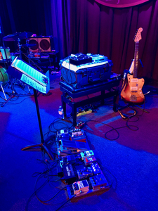 nelscline2